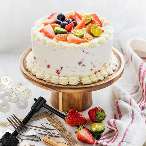 CZWESTC Stainless Steel Clay Extruder for Clay extruder for Pottery, Fondant Tool Set - Extruder with 20 Discs, Sugar Paste, Cake Decor Tool (Blac...