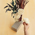 FloraCraft Floral Desert DryF?M Brick 2.8 Inch x 3.8 Inch x 7.8 Inch Brown...