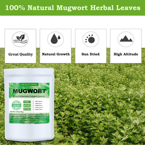 Dried Mugwort Leaves, 5.5oz(155.0g), Mugwort Leaf, Natural Artemisia Vulgaris Herbal Loose Leaves...