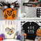 Halloween Stencils for Painting on Wood Craft Large Reusable Boo Skeleton Pumpkin Spider Web Boo Trick or Treat Paint Stencils for Door Hanger Wal...