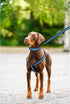 Mile High Life Night Reflective Double Adjustable Band Nylon Small Puppy Pet Dog Combo Collar Leash and Harness Set (Reflective Edge Blue, Large (...