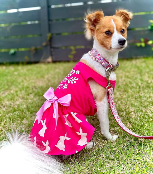 Fitwarm Eggstra Cute Dog Easter Outfit, Bunny Dog Dress, Holiday Dog Clothes for Small Dogs Gril, Pet Cat Clothing, Hot Pink, Small...