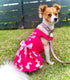 Fitwarm Eggstra Cute Dog Easter Outfit, Bunny Dog Dress, Holiday Dog Clothes for Small Dogs Gril, Pet Cat Clothing, Hot Pink, Small...