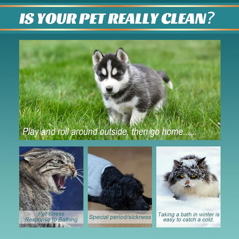 Pet Rinse Free Grooming Gloves, 10Pcs Pet Wipes for Dogs & Cats Wash Free Gloves, Cleansing Grooming with Plant Extract No Rinse Thick Extra Puppy...