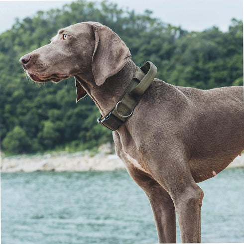 Tough Dog Collars, Tactical Dog Collar with Handle, Milltary Adjustable Dog Collar with Heavy Duty Metal Buckle for Training (Large(Pack of 1), Gr...