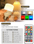 Fulighture 2 Pack Wireless Rechargeable Light Bulbs, E26 Battery Operated Light Bulb with Remote Control, Type-C Charging, RGB + Warm/Cool White, ...