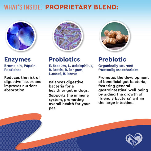 Probiotics & Prebiotics with Enzymes for Dogs and Cats - Digestive Gut Flora Health Pet Food Supplements - Constipation & Diarrhea and Gas Home Re...