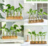 Plant Propagation Station, Plant Terrarium with Wooden Stand for Hydroponics Plants Office Decor Unique Gardening Gifts for Women Plant Lovers - 5...