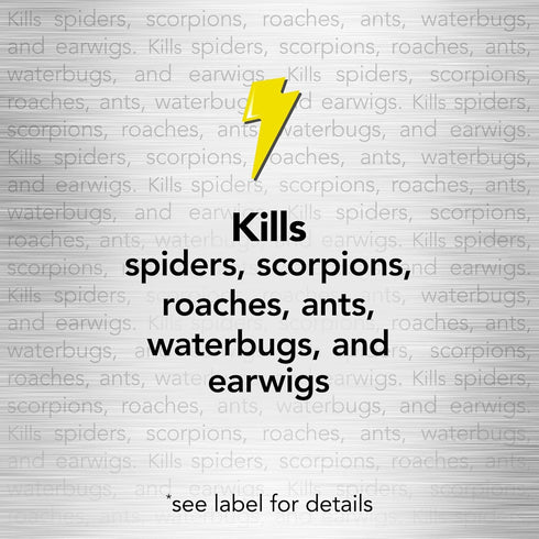 Raid Spider and Scorpion Killer, Kills spiders, scorpions, roaches, ants, Waterbugs, earwigs, 12 oz...