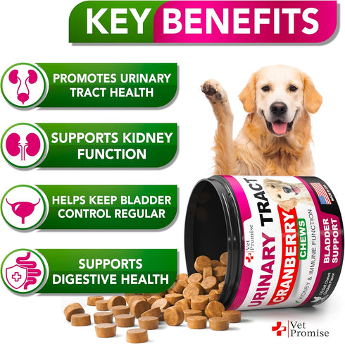 Dog UTI Treatment - Cranberry Supplement for Dogs UTI - Bladder Control for Dogs - Dog Urinary Tract Infection Treatment - UTI Medicine for Dogs -...