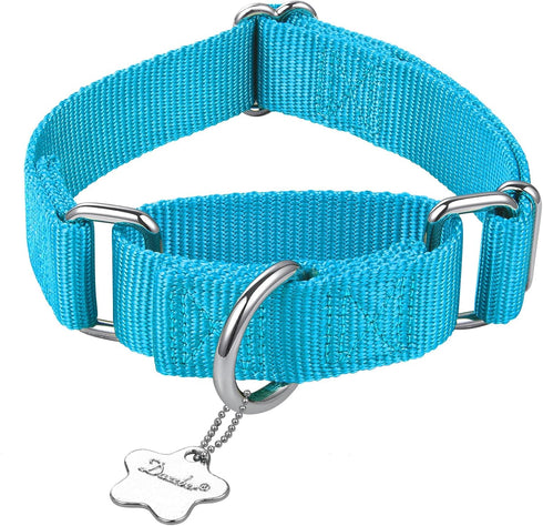 Martingale Dog Collar Anti-Escape, High Density Nylon Durable Adjustable Collars, Comfy and Safe -Professional Training Pet Collar -Daily Walks fo...