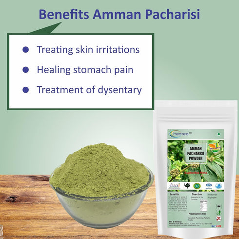 Amman Pacharisi | Euphorbia Hirta Powder 300 GM (10.58 OZ) pack of 1...