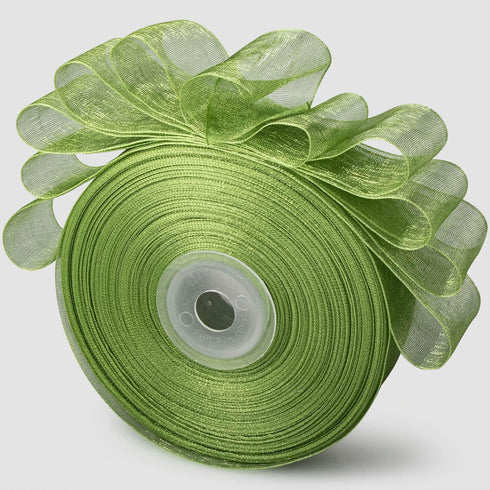 1 Inch Wide 50 Yards Green Sheer Chiffon Ribbon Organza Ribbon for Gift Wrapping (Green)...