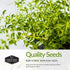 Survival Garden Seeds - Italian Herb Collection Seed Vault - Basil, Oregano, Thyme, Sage, Flat Leaf Parsley - Non-GMO Heirloom Varieties of Culina...