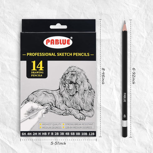 Professional Triangular Drawing Sketching Pencil Set,6H,4H,2H,H,HB,F,B,2B,3B,4B,6B,8B,10B,12B Graphite Shading Pencils for Beginners,ProArtists,Dr...