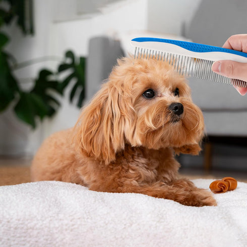 Dog Comb to Remove Tangles and Knots, Cat Comb with Stainless Steel Teeth and Non-Slip Handle, Dog combs for grooming matting for Long Haired Dog,...