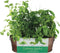 BUZZY Organic Windowsill Grow Kit, Copper Culinary Garden: Basil, Cilantro, and Chives, Best Gardening Gifts, Parties, Unique, Growth Guaranteed, ...