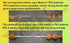 Genuine Himalayan Five Face Rudraksha Seeds Tibetan Wrist Bracelet Meditation Beads Prayer Charm Bracelets...