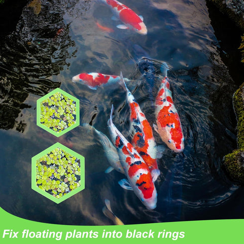 5pcs Aquarium Floating Plant Corral, Foam Fish Feeding Rings Hexagon Fish Tank Food Ring for Keeping Floating Plants in Place (Green)...