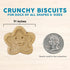 Cloud Star Corp, Wag More Bark Less Oven-Baked Grain Free Smooth Aged Cheddar Dog Biscuits...