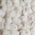 Tumbler Home Small Natural White Sand Dollars 50 pcs - Wedding - Sea Shell Craft 1 1/4" to 1 1/2" - Hand Picked and Professionally Packed...
