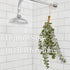 12 pcs Small Dried Eucalyptus Stems 12inchs Real Eucalyptus for Shower Hanging Plants Made from Fresh Eucalyptus Mini Shower Plants Home Bathroom ...