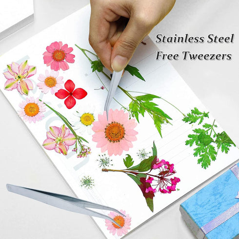 Dried Pressed Flowers, 60PCS Pink Natural Real Daisy, DIY Craft, Scrapbooking, Candle Making...