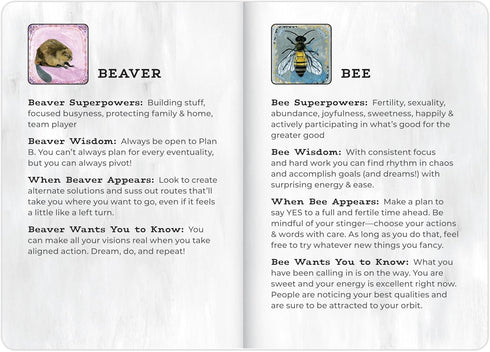 Em & Friends Animal Allies Oracle Deck by Jessica Swift: A Magical 50-Card Oracle Deck with Guidebook...