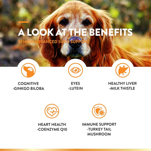 NaturVet Senior Advanced 5-in-1 Support Dog Supplement – Helps Support Immune System, Heart, Liver, Cognitive Function, Eye Health – Includes Gink...