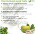 Premium 1oz Soursop Leaf Powder, 100% Natural & Pure from Soursop Leaves, Wildcrafted, Graviola Powder, Hoja Guanabana, No Sugar, No Gluten, Vegan...