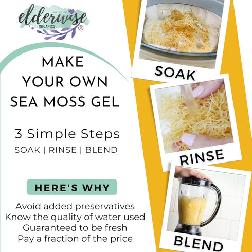 Sea Moss | WILDCRAFTED | 2.5 oz that makes 64 oz of gel | Raw + Non GMO | Sundried | MINERAL RICH | Saint Lucia Sea Moss | GOLDEN...