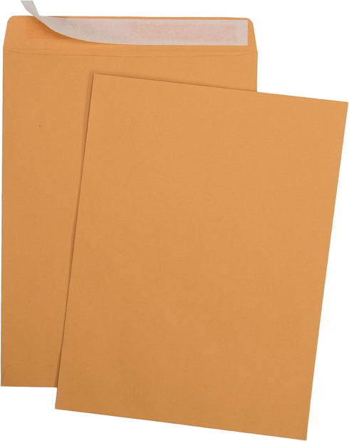 6 x 9 Self-Seal Brown Kraft Catalog Envelopes - 28lb, Ultra Strong Quick-Seal, 6x9 inch - 25 Count (38369)...