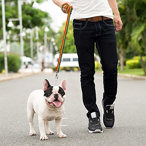 Downtown Pet Supply - Long Dog Leash - Dog Training Leash - Recall & Obedience Dog Training Tools - Nylon - 50 ft - Rainbow Dog Leash...