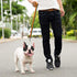 Downtown Pet Supply - Long Dog Leash - Dog Training Leash - Recall & Obedience Dog Training Tools - Nylon - 50 ft - Rainbow Dog Leash...