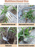 Weed Puller Tool, Weeding Artifact Uprooting Weeding Tool, 4-Tine Stainless Steel Head Hand Multi Function Garden Weeder Remover Tool Easily Remov...