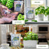 Medicinal and Tea Herb Seeds Collection - Over 4,500 Heirloom and Non GMO Garden Seeds for Planting Indoor, Outdoor & Hydroponic - includes Basil,...