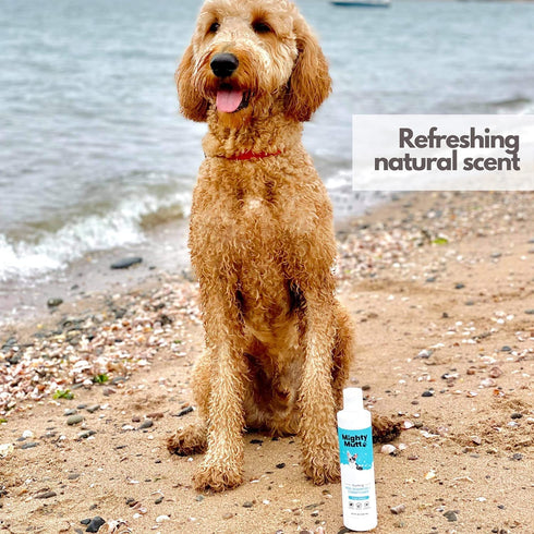 Mighty Mutt Soothing Dog Shampoo and Conditioner – Pet Friendly | Deodorizes Smelly Dogs | Detangles | Natural, Hypoallergenic & Anti-Itch Dog Sha...