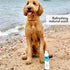 Mighty Mutt Soothing Dog Shampoo and Conditioner – Pet Friendly | Deodorizes Smelly Dogs | Detangles | Natural, Hypoallergenic & Anti-Itch Dog Sha...