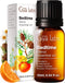 Gya Labs Bedtime Essential Oil Blend for Diffuser- 100% Natural Aromatherapy Bedtime Oil for Sleep, Calming & Relaxing (0.34 fl oz)...