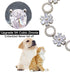 Dog Chain Collar Cubic Zironia Bling Collar for Puppy Kitty Gold Adjustable Cat Collar with Iced Out Crystal Stones Sun Flower (Silver, 10")...