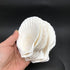 PEPPERLONELY 8 PC Large Great Scallop Sea Shells, Irish Deeps or Irish Baking Shells, 3 Inch ~ 4 Inch...