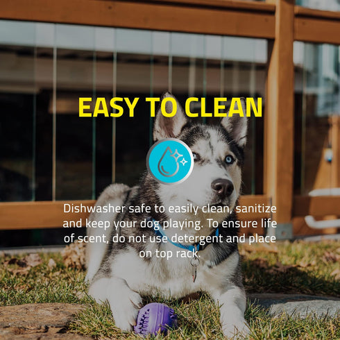 Playology Silver - Dental Chew Ball Dog Toy, Large - Designed for Senior Dogs (35lbs and Up) - Engaging All-Natural Pork Sausage Scent - Non-Toxic...