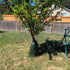 Tree Watering Bag,20 Gallon Slow Release Automatic Drip Irrigation Watering System,Watering Bag for Multi-Trunk Newly Planted Small Trees and Shru...