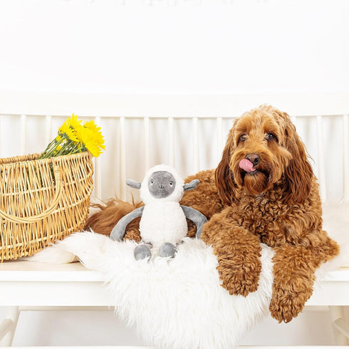 Fringe Studio Plush Dog Toy, Little Lamby, Pet Shop Collection (314135)...