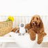 Fringe Studio Plush Dog Toy, Little Lamby, Pet Shop Collection (314135)...