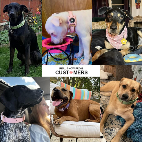 WHIPPY Leather Dog Collar for Small Medium Large Dog Adjustable Soft Breathable Leather Padded Puppy Collar with Alloy Buckle Heavy Duty Waterproo...