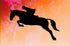 Reusable Horse Jumping Stencil 11" x 8.5" - Custom Equestrian Design for Dynamic Crafts...