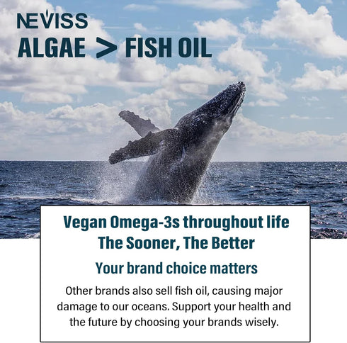 Vegan Omega 3 Gummies 1000mg, Omega 3 Fish Oil Alternative, Marine Algae Omega 3 Supplement DHA 460mg, EPA 230mg w/Vitamin B12, Folate, PS for Bra...