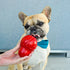 Nylabone Strong Chew Cone Stuffable Chew Toy for Dogs, Bacon Flavored Fillable Treat Toy, Small/Regular - Up to 25 Ibs. (1 Count)...