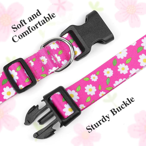 BiPawTi Flower Dog Collar, Soft Small Girl Dog Collar with Floral Patterns Decoration, Cute Daisy Dog Collars for Dogs Puppy, Summer Dog Collar Bo...